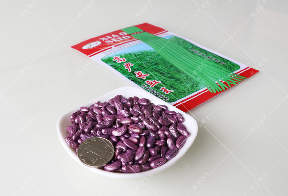 1557970078529788.jpg 未標(biāo)題-1.jpg