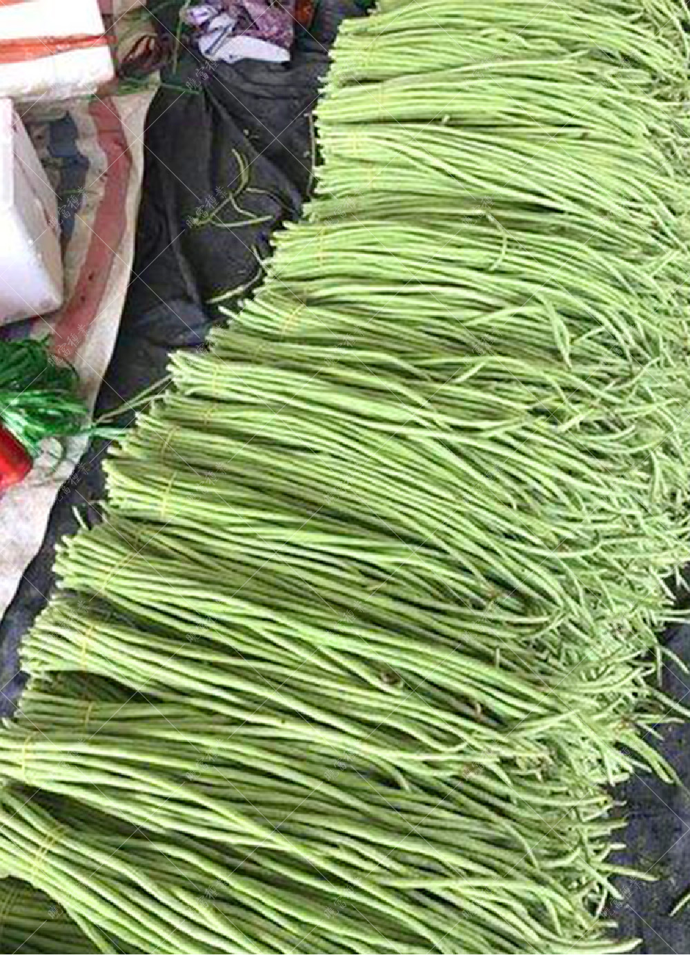 1557970119607667.jpg 56.jpg