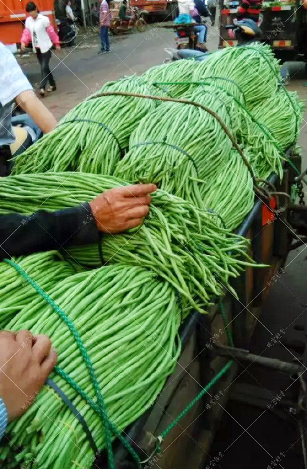 1557970901885066.jpg 23.jpg