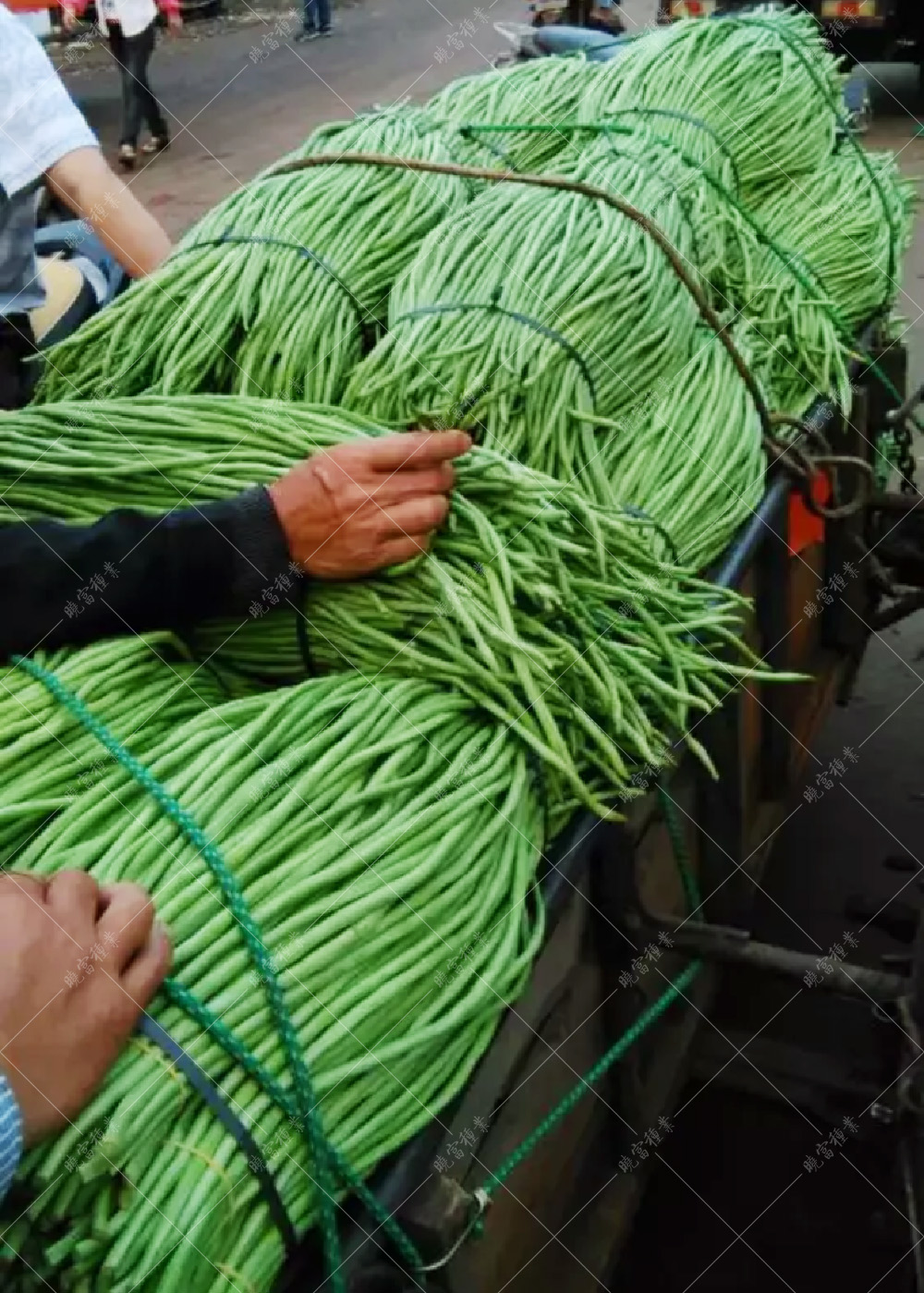 1557978077928836.jpg 未標題-1.jpg