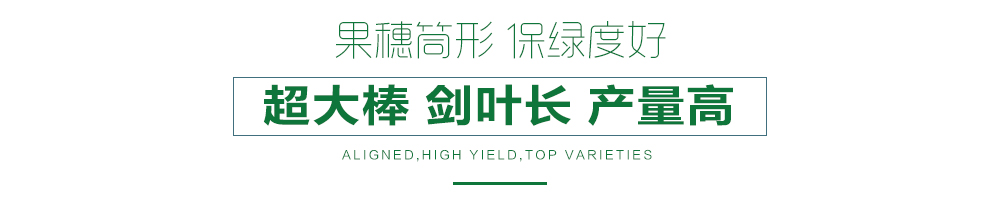 1558080420584264.jpg 詳情頁12.jpg