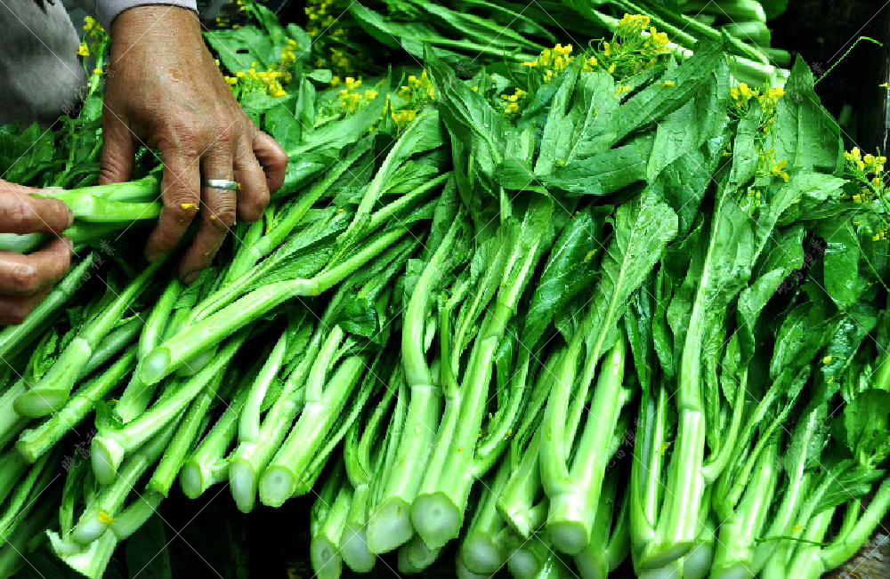 1558595714248133.jpg 43.jpg