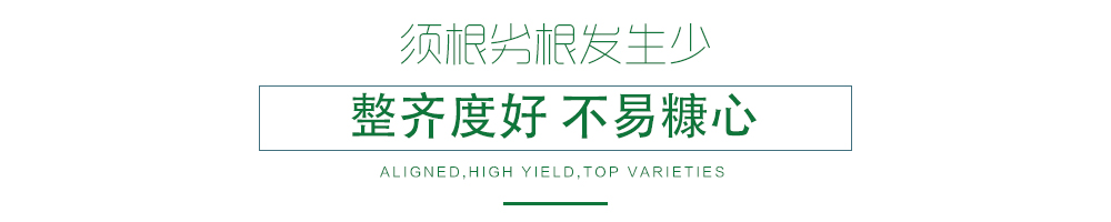 1585789514668525.jpg 07.jpg