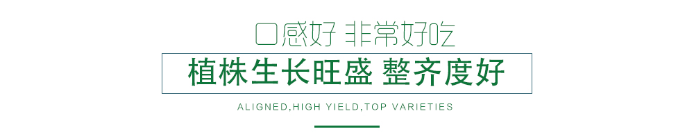 1585790069556296.jpg 07.jpg