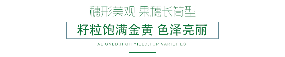 1600248588471998.jpg 03.jpg