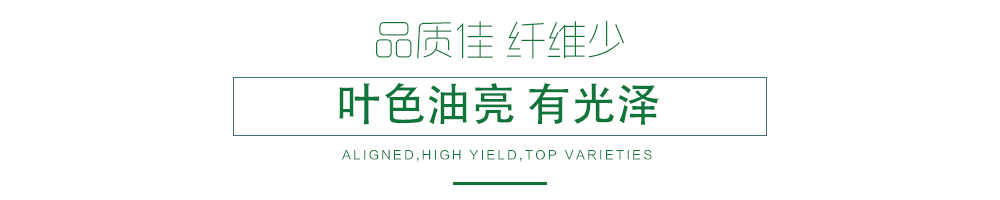 1600249476804319.jpg 03.jpg